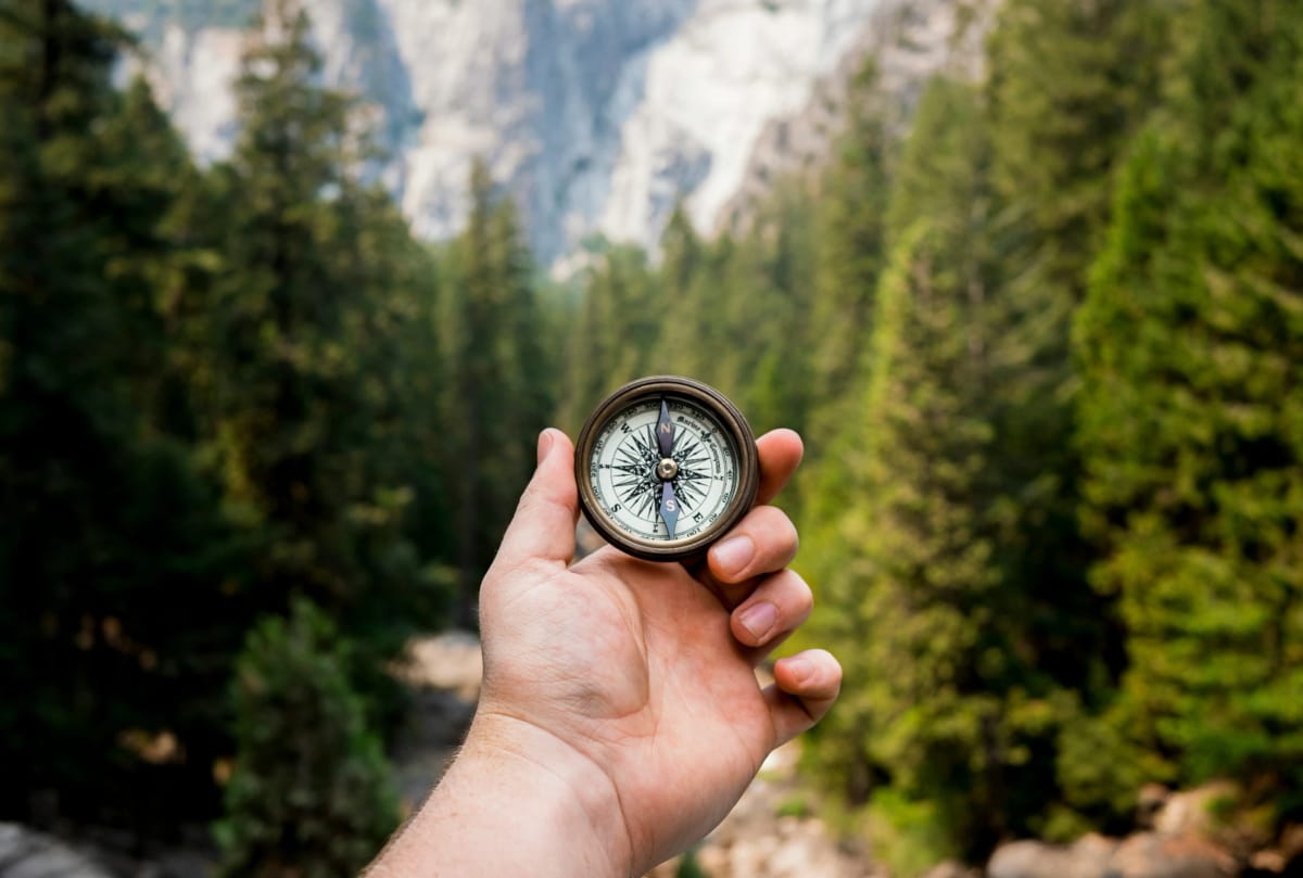 Chargeback Management: The Complete Guide for Merchants